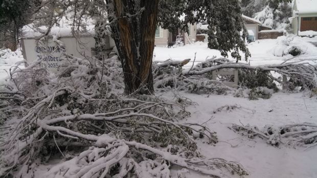 Winter Storm Atlas